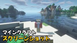 Read more about the article マイクラ スクリーンショットの撮り方と保存先