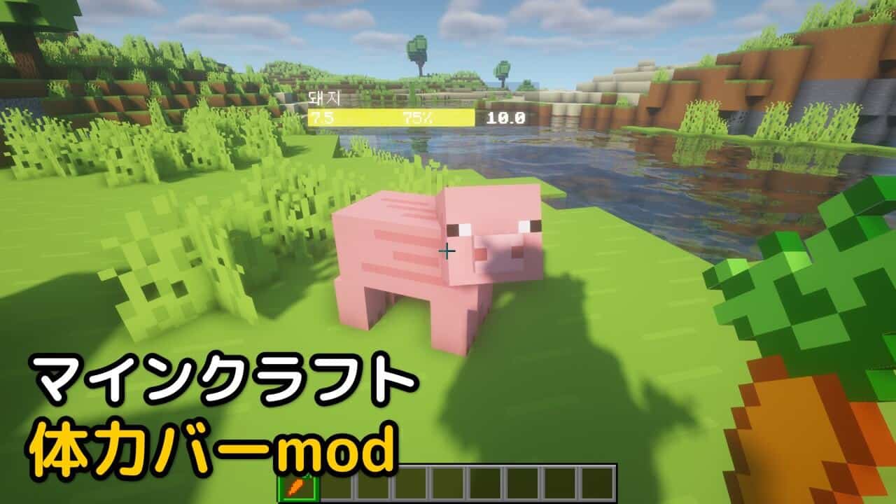 Read more about the article マイクラ 体力 HP表示 mod 【1.19.4対応】