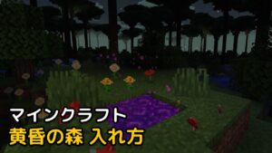 Read more about the article マイクラ 黄昏の森 入れ方 【最新1.19.3対応】 The Twilight Forest