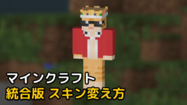 Read more about the article マイクラ 統合版 BE(PE) スキン変え方