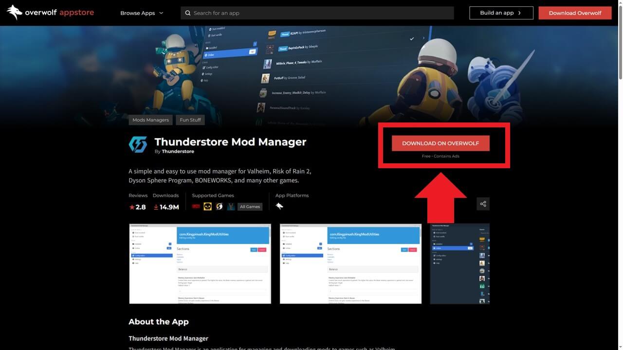 Thunderstore Mod Manager 다운로드