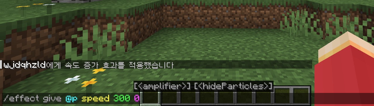 effect 포션 명령어 입력