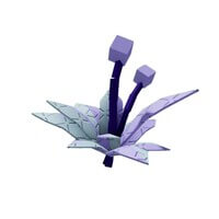 연꽃