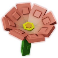 가시관