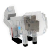 우주 다람쥐