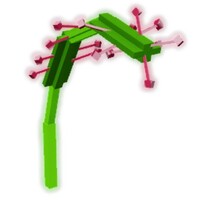 モウセンゴケ