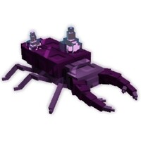 자수정 딱정벌레